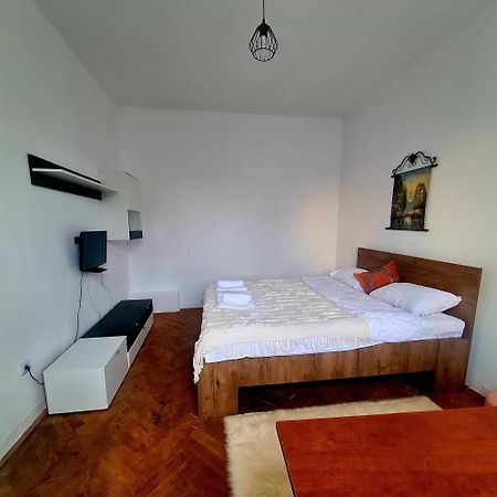 Mural Art Apartament Petroşani Екстериор снимка