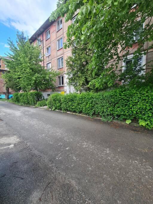 Mural Art Apartament Petroşani Екстериор снимка