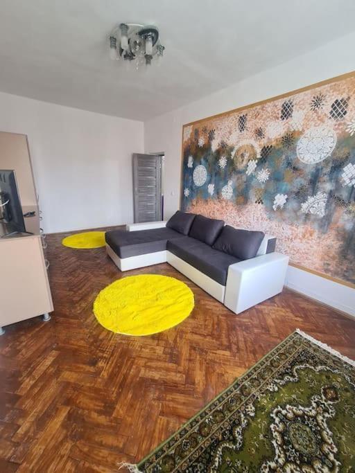 Mural Art Apartament Petroşani Екстериор снимка