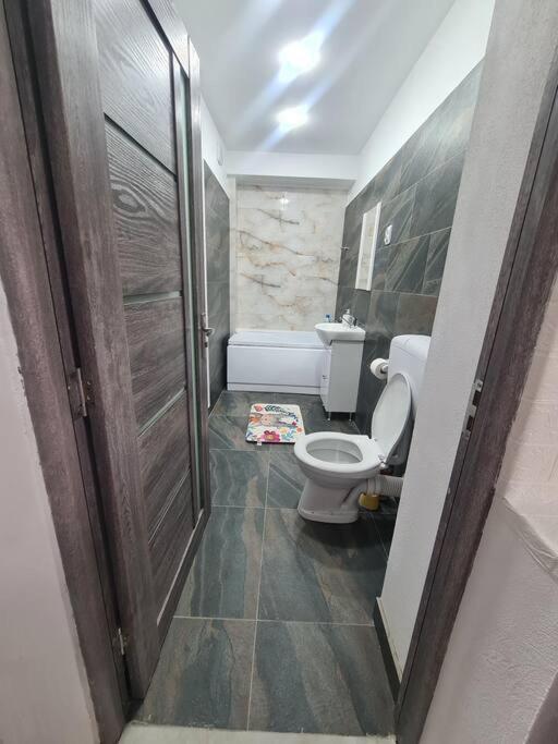 Mural Art Apartament Petroşani Екстериор снимка
