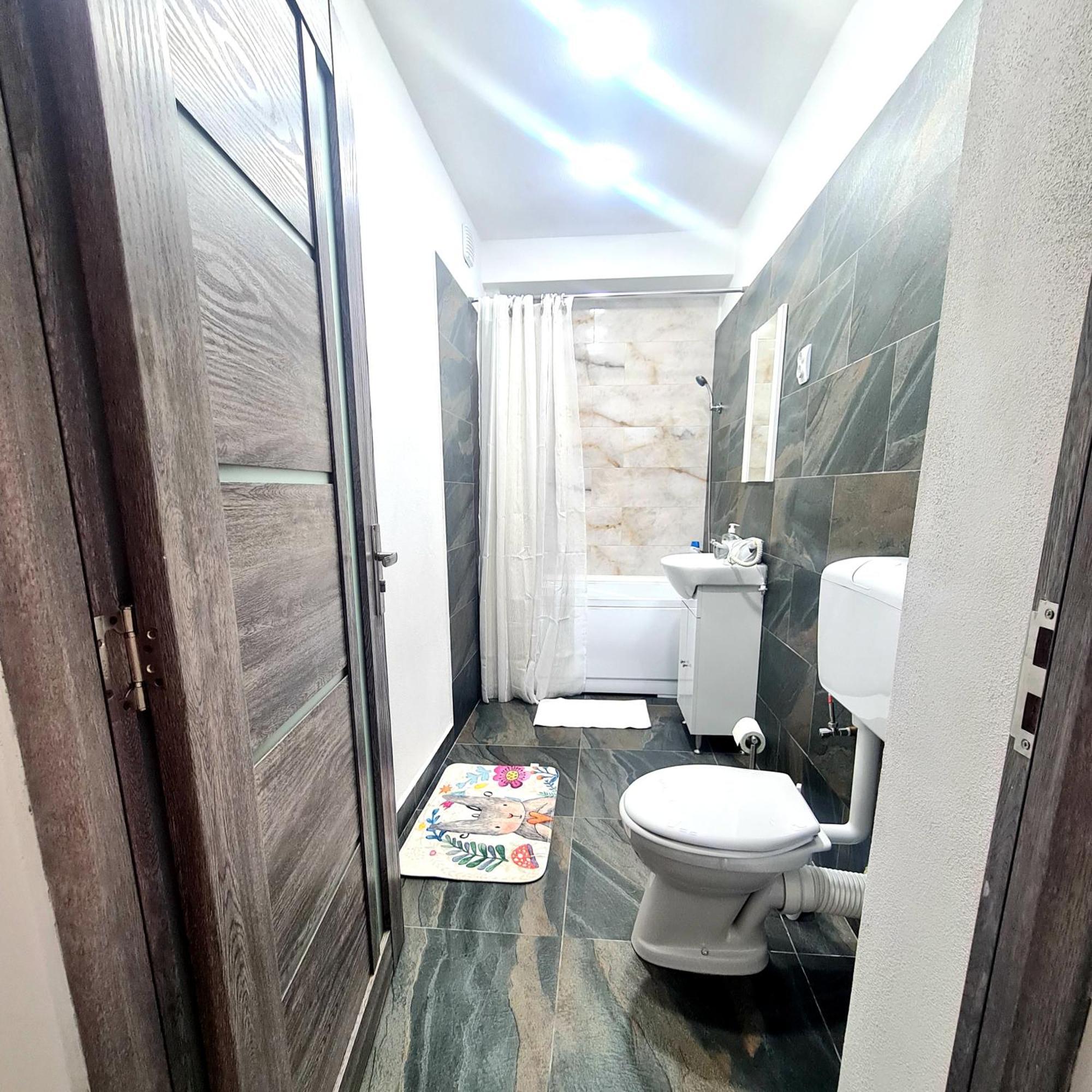 Mural Art Apartament Petroşani Екстериор снимка